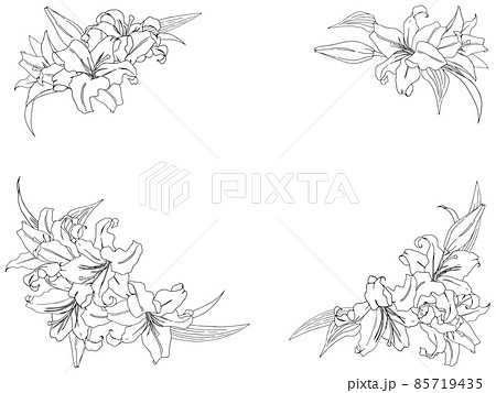 百合のフレーム 四隅 線画 のイラスト素材