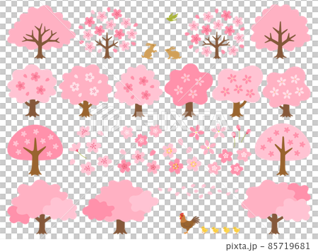 Illustration set of various cherry trees and cherry blossoms 85719681