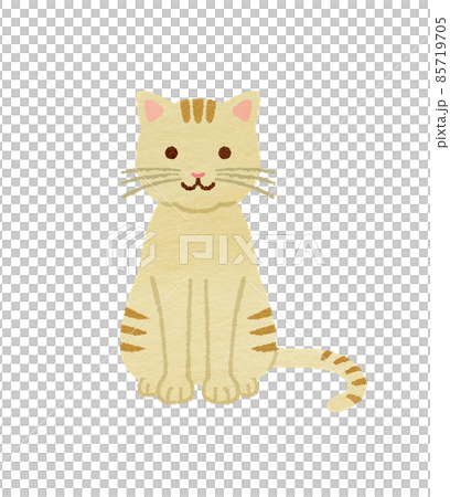 茶トラ猫 85719705