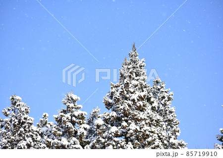 雪 雪 85719910