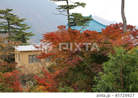 紅葉に染まる箱根美術館 紅葉に染まる箱根美術館 85720927