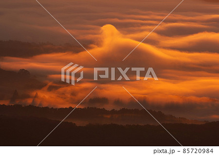 《岡山県》秋の朝、鬼女台から見る風景【11月】 85720984