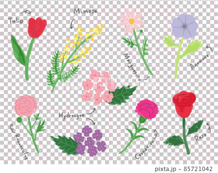 花插圖集 85721042