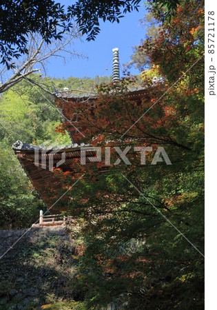 四国霊場第71番札所「弥谷寺」多宝塔と紅葉(色づき始め) 四国霊場第71番札所「弥谷寺」多宝塔と紅葉(色づき始め) 85721178