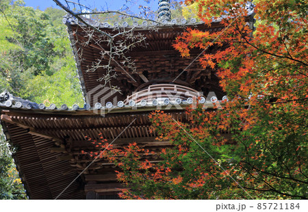 四国霊場第71番札所「弥谷寺」多宝塔と紅葉（色づき始め） 85721184