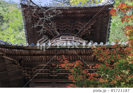四国霊場第71番札所「弥谷寺」多宝塔と紅葉(色づき始め) 四国霊場第71番札所「弥谷寺」多宝塔と紅葉(色づき始め) 85721187