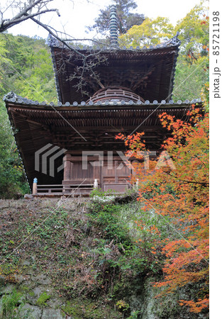 四国霊場第71番札所「弥谷寺」多宝塔と紅葉（見ごろ） 85721198