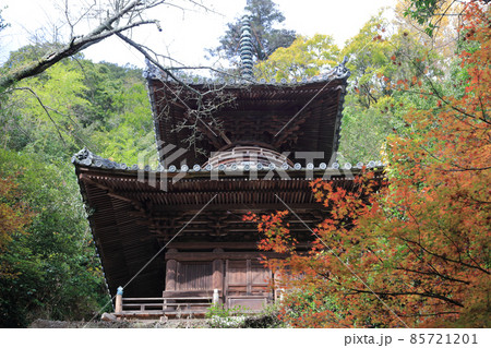 四国霊場第71番札所「弥谷寺」多宝塔と紅葉(見ごろ) 四国霊場第71番札所「弥谷寺」多宝塔と紅葉(見ごろ) 85721201