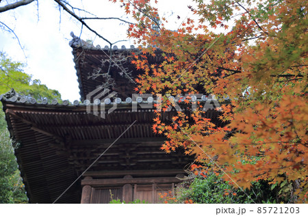 四国霊場第71番札所「弥谷寺」多宝塔と紅葉(見ごろ) 四国霊場第71番札所「弥谷寺」多宝塔と紅葉(見ごろ) 85721203