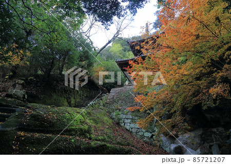 四国霊場第71番札所「弥谷寺」多宝塔と紅葉(見ごろ) 四国霊場第71番札所「弥谷寺」多宝塔と紅葉(見ごろ) 85721207