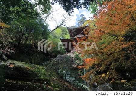 四国霊場第71番札所「弥谷寺」多宝塔と紅葉（見ごろ） 85721229