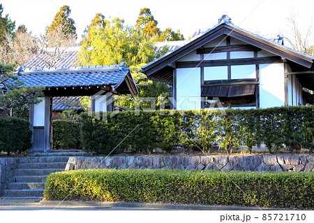 木曽三川公園センター冬の散策・2（岐阜県海津市） 85721710