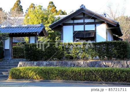 木曽三川公園センター冬の散策・3（岐阜県海津市） 85721711