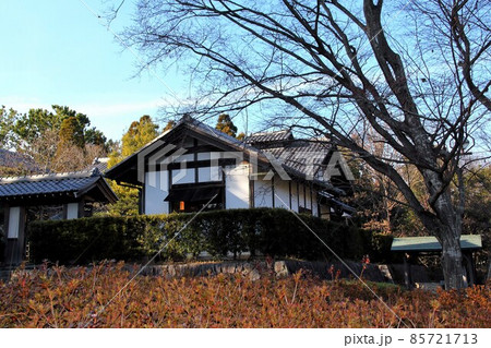木曽三川公園センター冬の散策・5（岐阜県海津市） 85721713