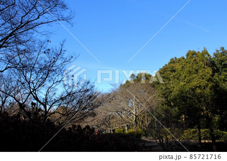 木曽三川公園センター冬の散策・8（岐阜県海津市） 85721716