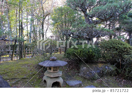 木曽三川公園センター冬の散策・14（岐阜県海津市） 85721722