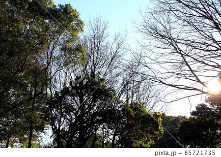 木曽三川公園センター冬の散策・27（岐阜県海津市） 85721735