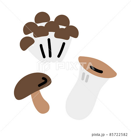 シンプルなきのこ　イラストセット 85722582