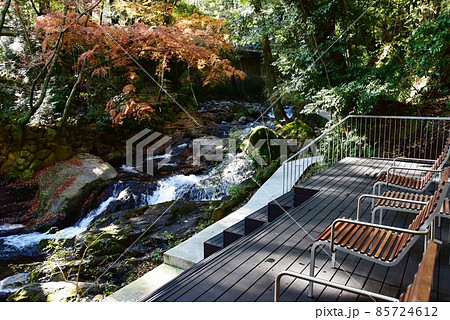 湯河原町　万葉公園湯河原惣湯の川の道とテラスと紅葉 85724612