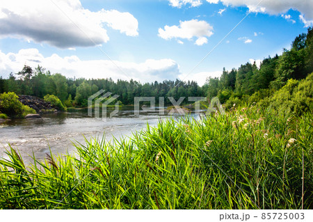 Summer landscape of Kymijoki river waters in Finland. 85725003