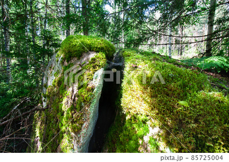 Big cracked stone in green forest in Finland 85725004