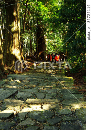 熊野古道の大門坂付近の杉林の道 熊野古道の大門坂付近の杉林の道 85725116