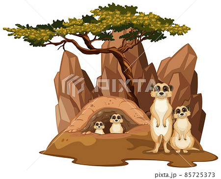 Isolated nature scene with meerkat family 85725373