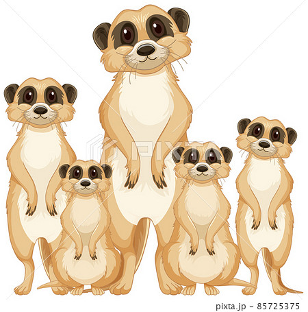 br_nu_meerkats-01.eps 85725375