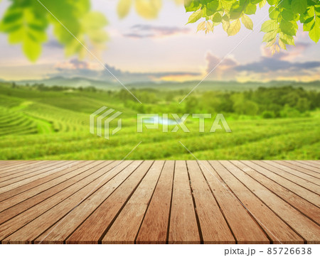empty wooden desk with blurry tea plantation on hill against evening sky and leave as frame Product display stand concept 85726638
