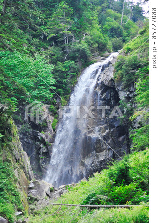 駒ケ根高原の秘境　新緑と伊勢滝　アップ 85727088