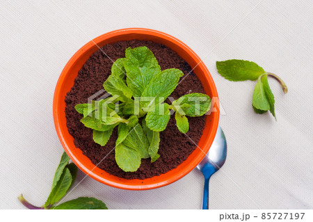 classic popular tiramisu dessert in an unusual pot serving. top view 85727197