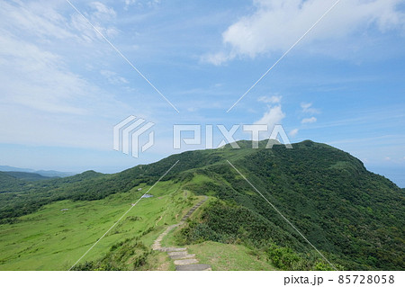牧草地 放牧 放牧場 85728058