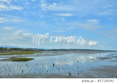 湿原 湿地 沼地 85728391