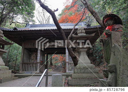 四国霊場第71番札所「弥谷寺」仁王門、晩秋（色づき進む） 85728796