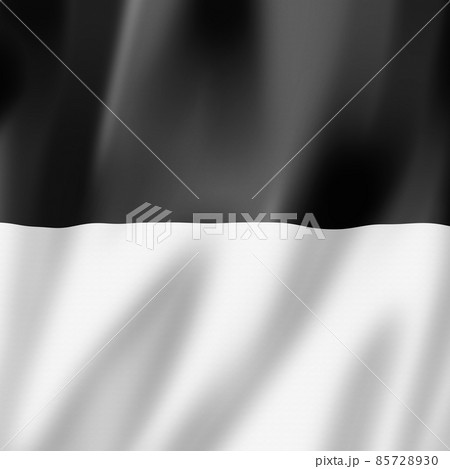 Fribourg canton - State - flag, Switzerland 85728930