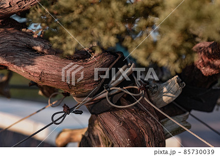 台北101 台北101 建築 85730039