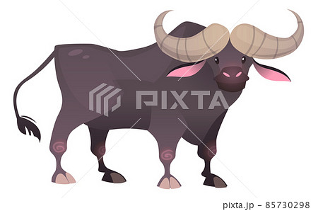 Buffalo icon. Wild african cattle. Big bison 85730298