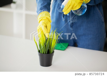 Young business woman sprays plants in flowerpots 85730724