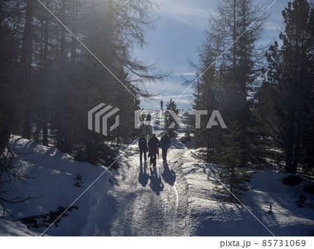 dolomites snow panorama val badia armentara hill 85731069