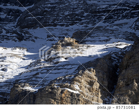 dolomites snow panorama val badia armentara hill 85731081