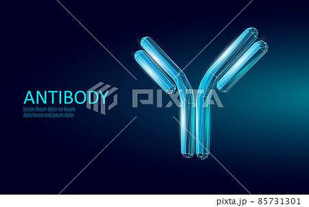 Antibody immunoglobulin coronavirus vaccine result. 3D medical infection model. Immunization COVID poster template. Blood test green pass certificate vector illustration Antibody immunoglobulin coronavirus vaccine result. 3D medical infection model. Immunization COVID poster template. Blood test green pass certificate vector illustration 85731301