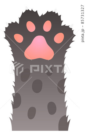 Gray paw with dark fur spots. Kitten hand Gray paw with dark fur spots. Kitten hand 85731327