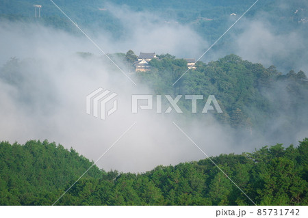 【日本100名城】真夏の雲海に浮かぶ備中松山城22 岡山県高梁市 【日本100名城】真夏の雲海に浮かぶ備中松山城22 岡山県高梁市 85731742