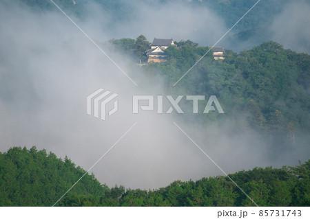 【日本100名城】真夏の雲海に浮かぶ備中松山城21　岡山県高梁市 85731743