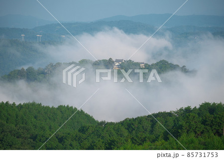 【日本100名城】真夏の雲海に浮かぶ備中松山城33　岡山県高梁市 85731753