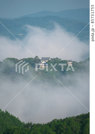 【日本100名城】真夏の雲海に浮かぶ備中松山城31　岡山県高梁市 85731755