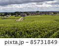 Vinyards Village Montrachet Vinyards Village Montrachet 85731849