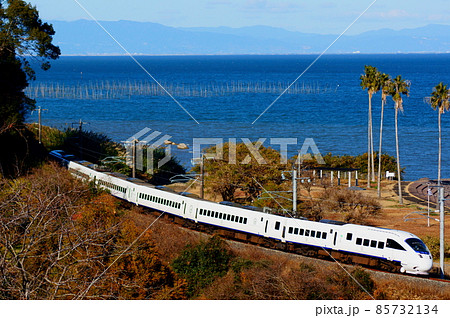 撮影名所・白浜海水浴場付近を通過する白いかもめ 撮影名所・白浜海水浴場付近を通過する白いかもめ 85732134