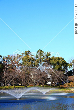 名古屋市、名城公園御深井池の風景 名古屋市、名城公園御深井池の風景 85733216