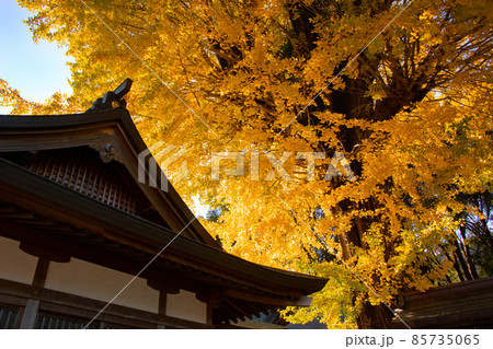 秋の丹生長谷神社の光景 和歌山県海草郡紀美野町 秋の丹生長谷神社の光景 和歌山県海草郡紀美野町 85735065